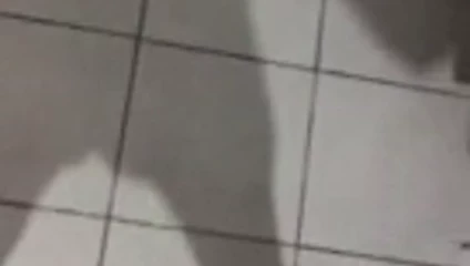 Sinhala wesa balli cbt ceza