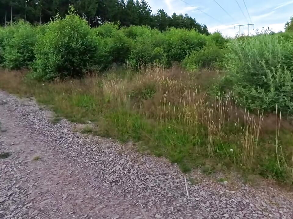 Nude hike in the greenery of  teenager