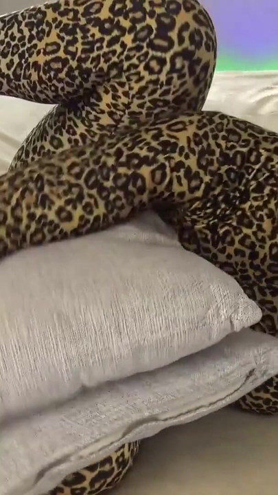 Impresionante momento de "Blondehottiek Zentai Catsuit moliendo almohada"