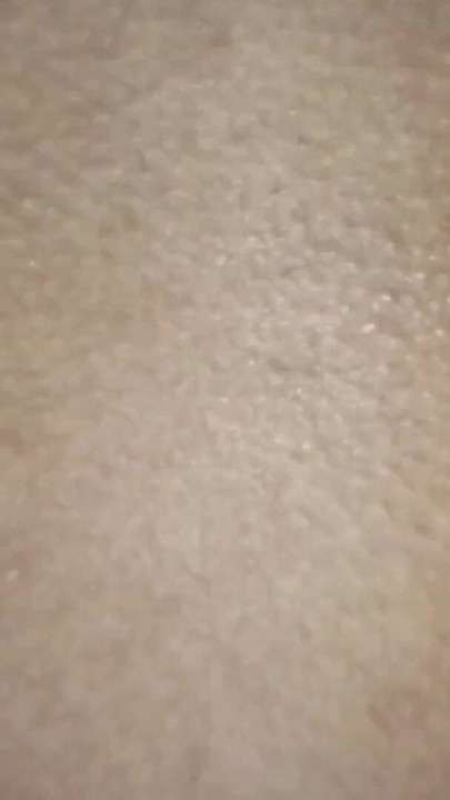 Hvem vil se den spennende videoen av din favoritt hotte, kåte, sexy Bithi Bhabi? Gi oss beskjed i kommentarene del 1 | Klipp 1