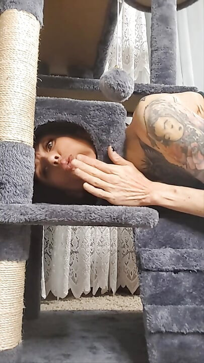Stuck Shiloh: Cathouse Edition