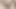 Newly Married Couple Sex in Bedroom