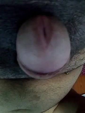 pussyboy