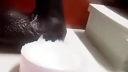 Black Mamba
