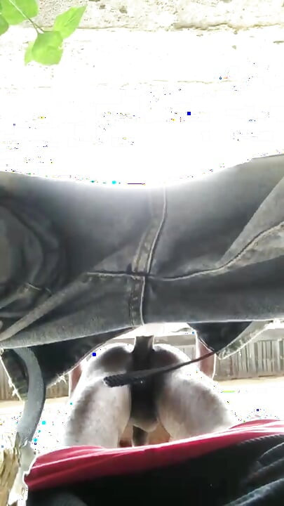 Doggy Bareback Below View