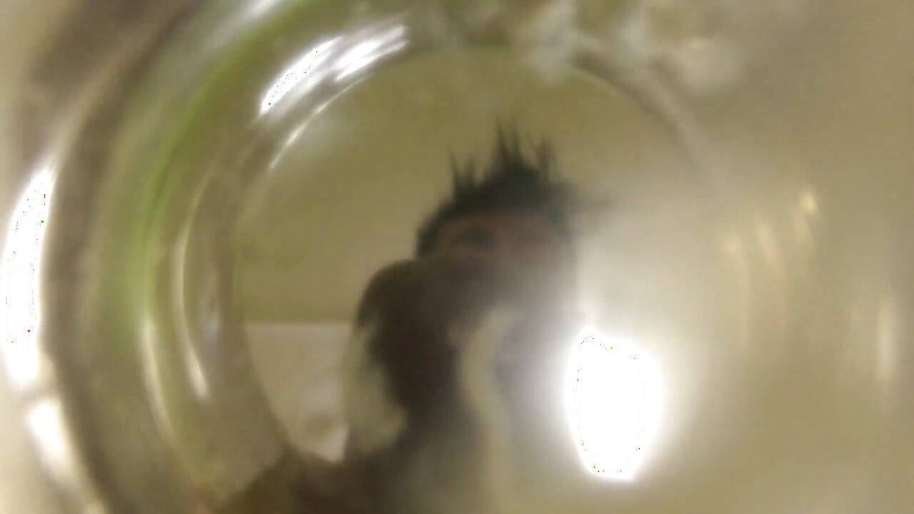 Twink spuszcza się do kubka wody (Inside Glass View) pływającej spermy
