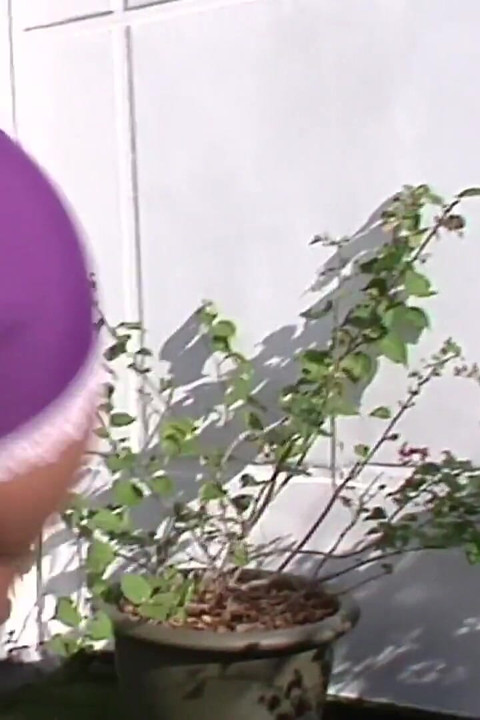 Glorious teen gets her pussy devastated outdoors