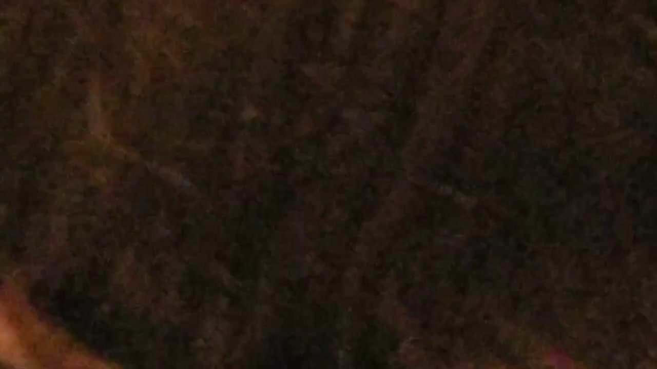 Slut sucks cock