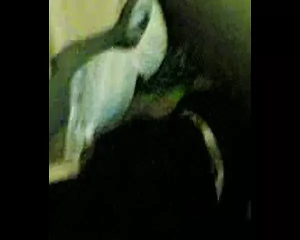 nek monakaba