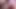 Hardkinks.com - Young cocksucker