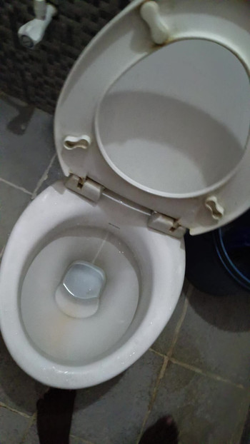 Dečko iz kupaonice hostela u akciji u kupaonici