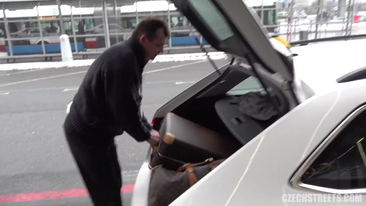 チェコの街 - ディックスとひよこ