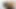 Wow! Üvey babam pazara giderken üvey erkek kardeşimle sikiştim - İspanyolca porno