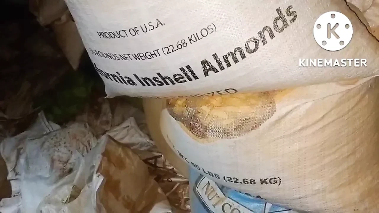 Badam Ki Godam me Aunty ko dekh Chudai karne ka maan karne laga