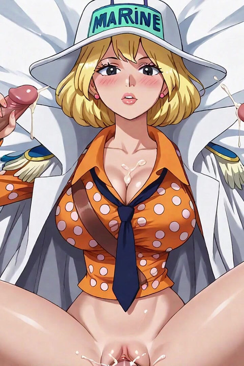 One Piece Hototogisu Hen