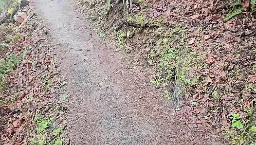 Yağmurlu Bir Günde Yürüyüş-n-sidik