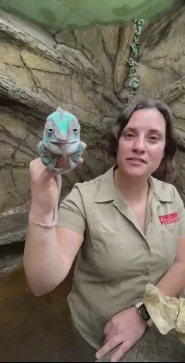 Engleski tiktor seksi