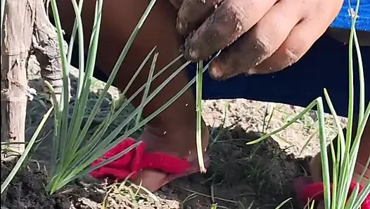 Heiße stiefmutter ging in einem kleid ohne höschen in den garten und nachbarin filmte