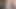 シシ・ベア・バック・ウィッピング 49231