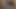 Pornstar redzilla yeme lizlondon kedi sevmek bir whooper