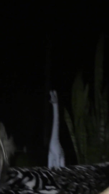 Pregled videozapisa