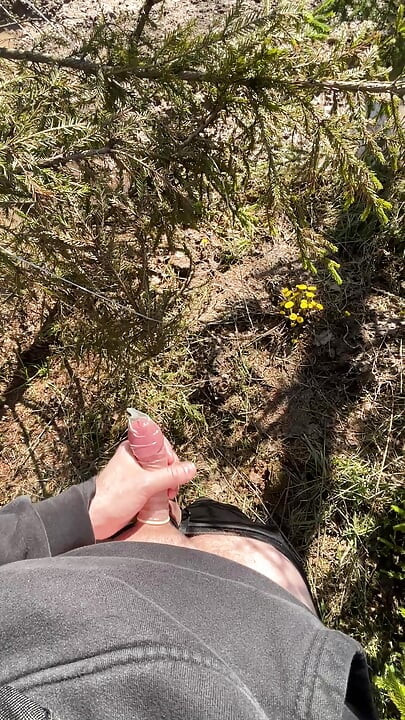 Jerk off in the forest