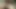 パパに乗る