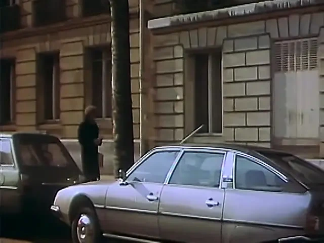 Video Scene French Widow Her Hairy Full Video Scene