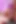 Bts Varla Doll'un ilk döllenmesi