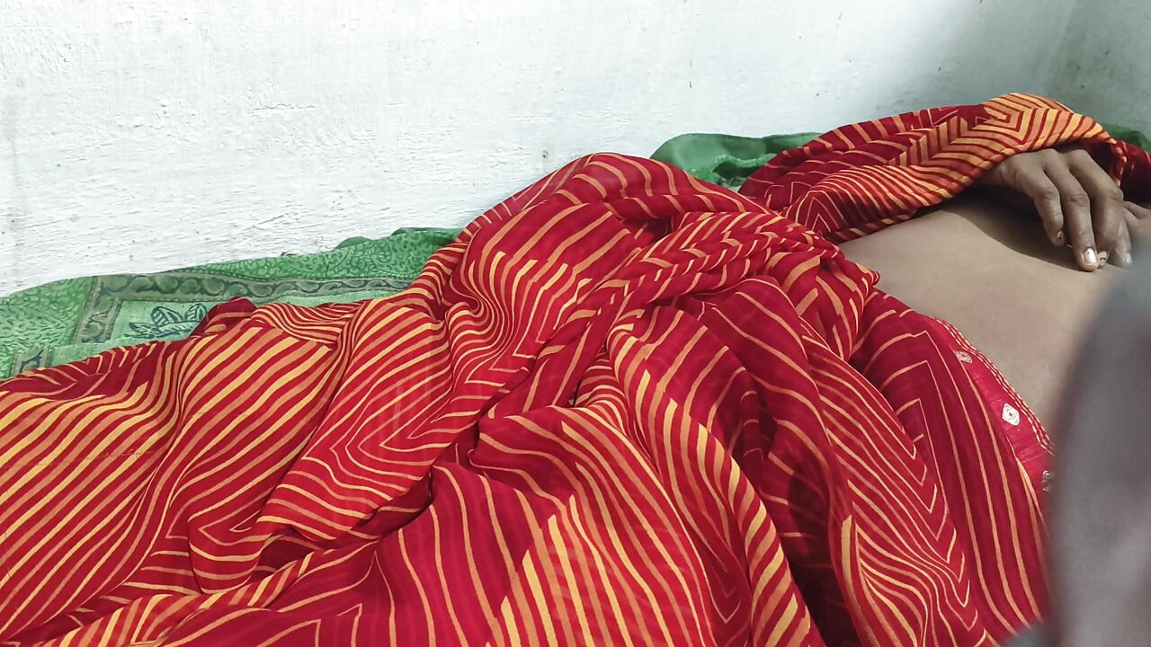 Indische frau mit einer sari