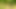 A sexy German chick pleasing her muff with a cucumber in the woods