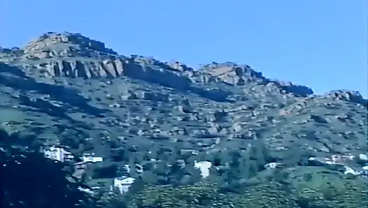 Jaringan seksual Geheimcode Superfrau (1995)