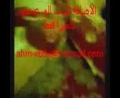 arab amara
