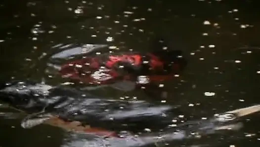 Platinblondine schlampen teilen strapon-spielzeug am pool