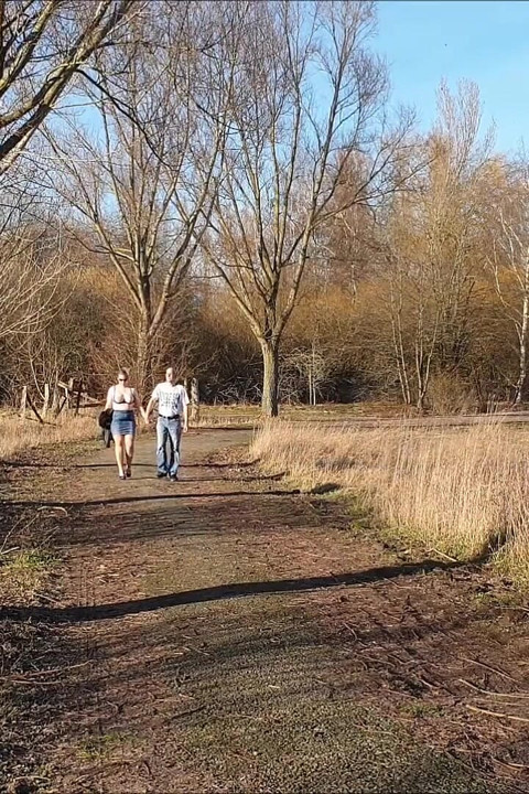 Frivolous Walk and Vibro Fucked