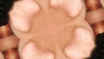 Reverse Cowgirl Pinwheel Penetration - - Slow Motion