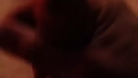penis