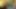A little bit close up cumshot