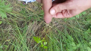 piss