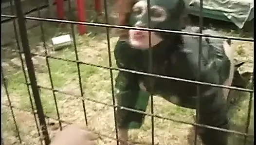 Fetişli ve seksi iç çamaşırlı kirli köle kafeste sikiliyor
