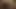 18 yr Asian mixed black pussy lip sucking nut sperm