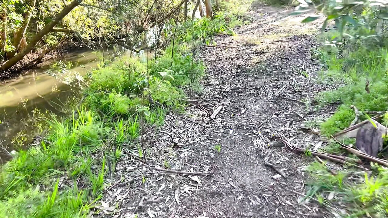 Solo jungle masturbation