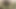 ガールフレンドと森の中でとても楽しかったです。