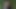パキスタンのインドベンガルのスラグTiktok