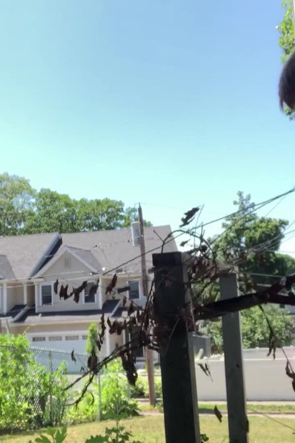 sexy giardinaggio con protagonista Alessandria Wu