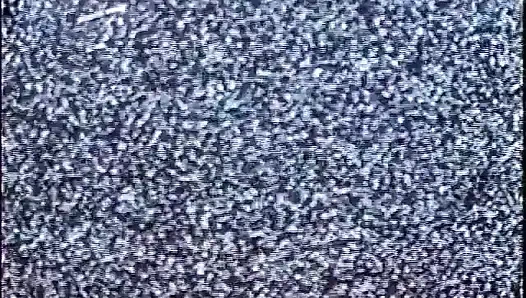 Жены одни дома: Жена No155