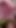 Hot Dilf Big Mushroom Head Cock Close up Outdoor Wanking and Cumming - Rockard Daddy
