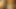 Bollywood Nudes