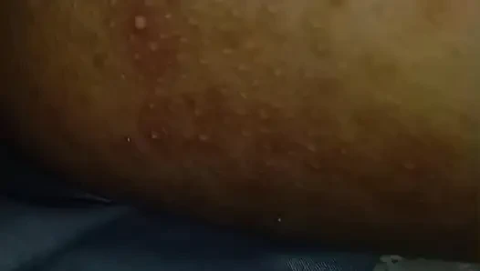 Shell lutschen und nahaufnahme