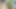 POV of my pussy squealing with a thick cucumber until I ejaculated multiple times